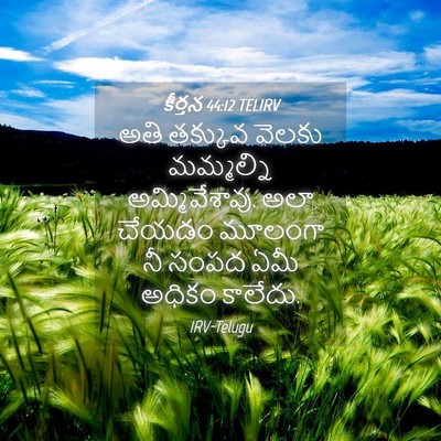 Picture 04 - కీర్తన 44:12 TELIRV - అతి తక్కువ వెలకు - Bible Verse Picture