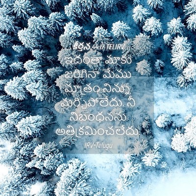Picture 04 - కీర్తన 44:17 TELIRV - ఇదంతా మాకు - Bible Verse Picture