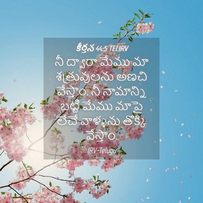 Picture 04 - కీర్తన 44:5 TELIRV - నీ ద్వారా మేము మా - Bible Verse Picture