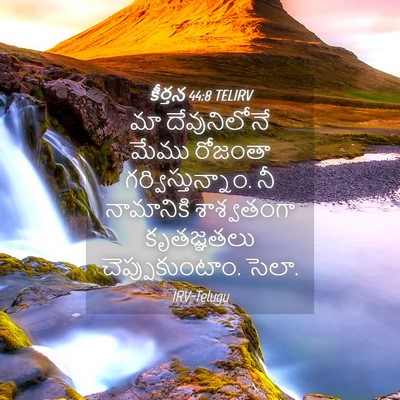 Picture 04 - కీర్తన 44:8 TELIRV - మా దేవునిలోనే - Bible Verse Picture