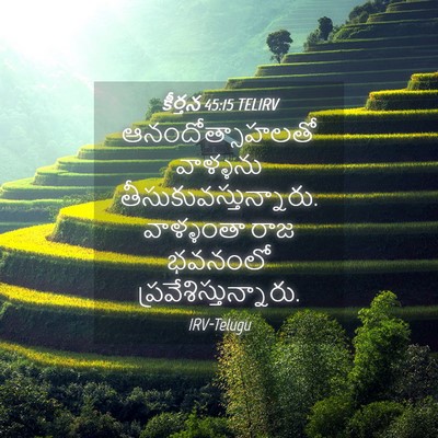 Picture 04 - కీర్తన 45:15 TELIRV - ఆనందోత్సాహలతో - Bible Verse Picture