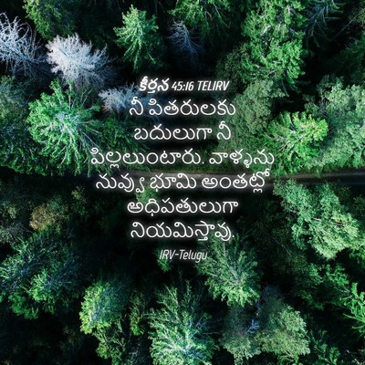 Picture 04 - కీర్తన 45:16 TELIRV - నీ పితరులకు - Bible Verse Picture