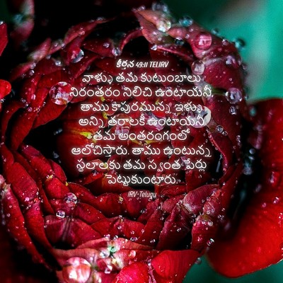 Picture 04 - కీర్తన 49:11 TELIRV - వాళ్ళు తమ - Bible Verse Picture