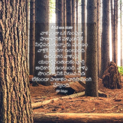 Picture 04 - కీర్తన 49:14 TELIRV - వాళ్ళంతా ఒక - Bible Verse Picture