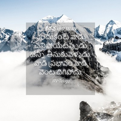 Picture 04 - కీర్తన 49:17 TELIRV - ఎందుకంటే వాడు - Bible Verse Picture