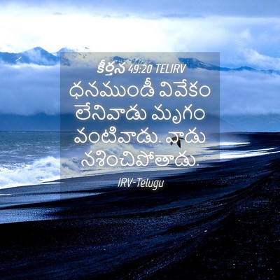 Picture 04 - కీర్తన 49:20 TELIRV - ధనముండీ వివేకం - Bible Verse Picture