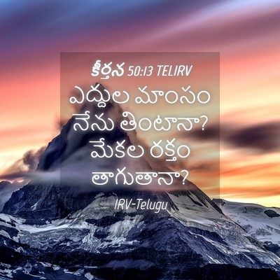 Picture 04 - కీర్తన 50:13 TELIRV - ఎద్దుల మాంసం నేను - Bible Verse Picture