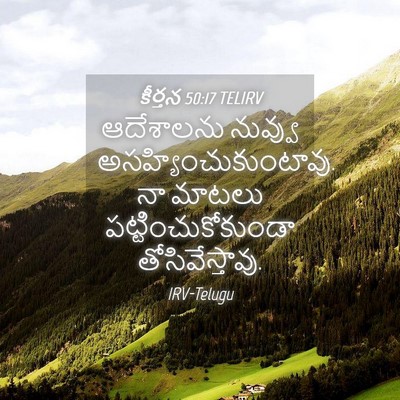 Picture 04 - కీర్తన 50:17 TELIRV - ఆదేశాలను నువ్వు - Bible Verse Picture