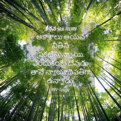Picture 04 - కీర్తన 50:6 TELIRV - ఆకాశాలు ఆయన - Bible Verse Picture