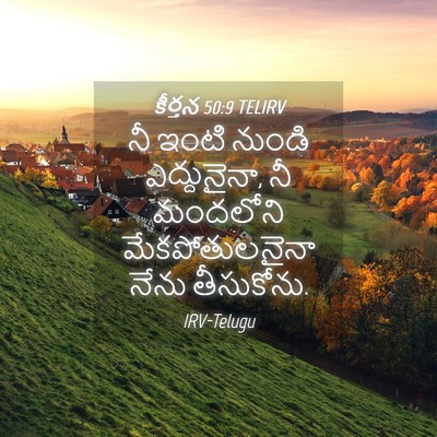 Picture 04 - కీర్తన 50:9 TELIRV - నీ ఇంటి నుండి - Bible Verse Picture