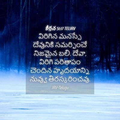Picture 04 - కీర్తన 51:17 TELIRV - విరిగిన మనస్సే - Bible Verse Picture