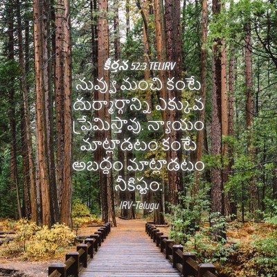 Picture 04 - కీర్తన 52:3 TELIRV - నువ్వు మంచి కంటే - Bible Verse Picture