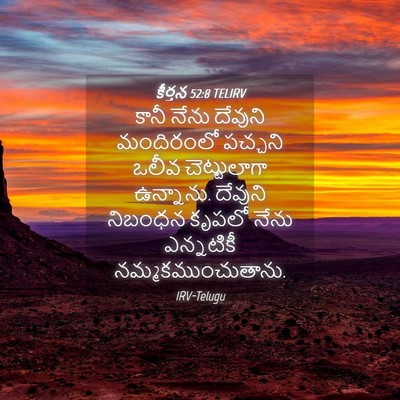 Picture 04 - కీర్తన 52:8 TELIRV - కానీ నేను దేవుని - Bible Verse Picture