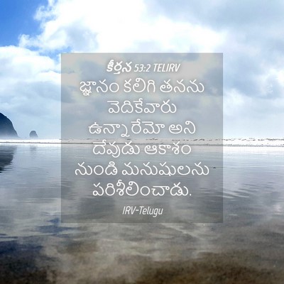 Picture 04 - కీర్తన 53:2 TELIRV - జ్ఞానం కలిగి తనను - Bible Verse Picture