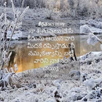 Picture 04 - కీర్తన 54:5 TELIRV - నా శత్రువులు చేసే - Bible Verse Picture