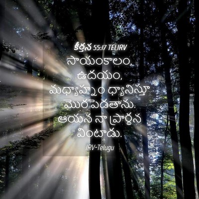 Picture 04 - కీర్తన 55:17 TELIRV - సాయంకాలం, ఉదయం, - Bible Verse Picture