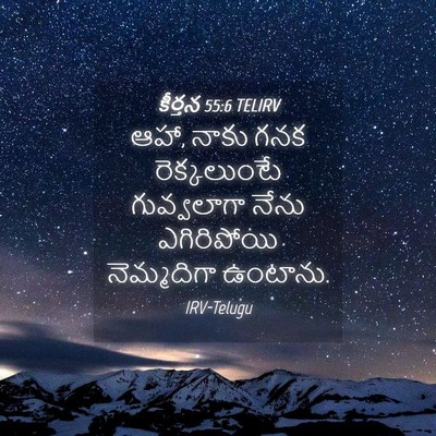 Picture 04 - కీర్తన 55:6 TELIRV - ఆహా, నాకు గనక - Bible Verse Picture