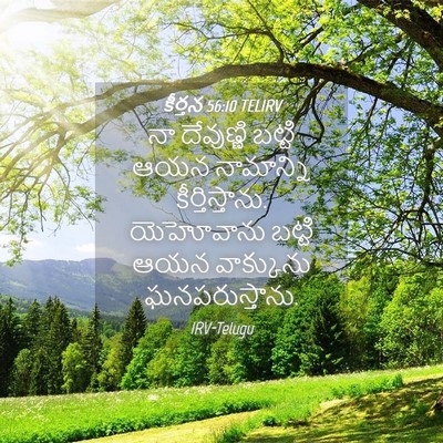 Picture 04 - కీర్తన 56:10 TELIRV - నా దేవుణ్ణి బట్టి - Bible Verse Picture