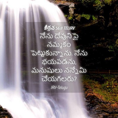 Picture 04 - కీర్తన 56:11 TELIRV - నేను దేవునిపై - Bible Verse Picture