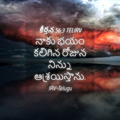 Picture 04 - కీర్తన 56:3 TELIRV - నాకు భయం కలిగిన - Bible Verse Picture