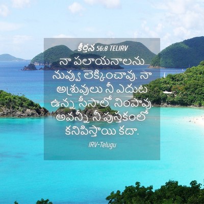 Picture 04 - కీర్తన 56:8 TELIRV - నా పలాయనాలను - Bible Verse Picture