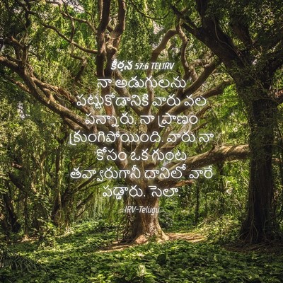 Picture 04 - కీర్తన 57:6 TELIRV - నా అడుగులను - Bible Verse Picture