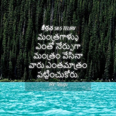 Picture 04 - కీర్తన 58:5 TELIRV - మంత్రగాళ్ళు ఎంతో - Bible Verse Picture
