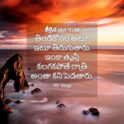 Picture 04 - కీర్తన 59:15 TELIRV - తిండికోసం అటూ ఇటూ - Bible Verse Picture