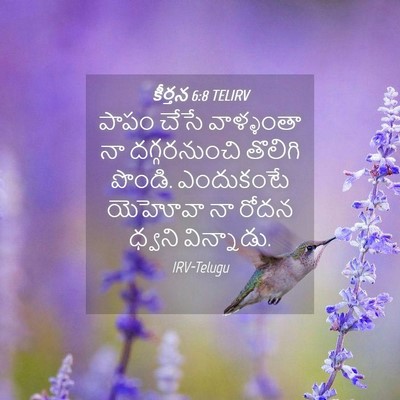 Picture 04 - కీర్తన 6:8 TELIRV - పాపం చేసే - Bible Verse Picture