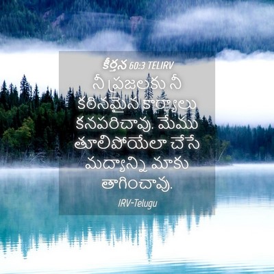 Picture 04 - కీర్తన 60:3 TELIRV - నీ ప్రజలకు నీ - Bible Verse Picture