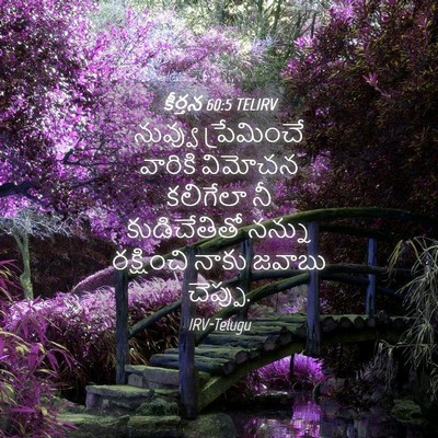 Picture 04 - కీర్తన 60:5 TELIRV - నువ్వు ప్రేమించే - Bible Verse Picture