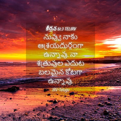 Picture 04 - కీర్తన 61:3 TELIRV - నువ్వు నాకు - Bible Verse Picture