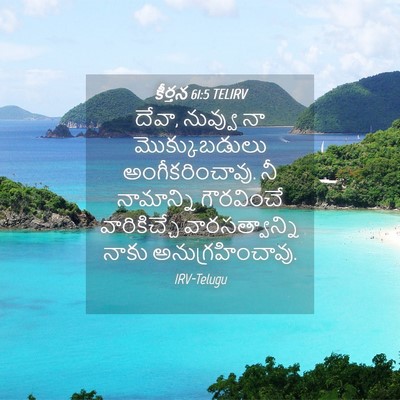 Picture 04 - కీర్తన 61:5 TELIRV - దేవా, నువ్వు నా - Bible Verse Picture