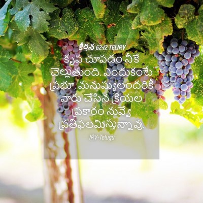 Picture 04 - కీర్తన 62:12 TELIRV - కృప చూపడం నీకే - Bible Verse Picture