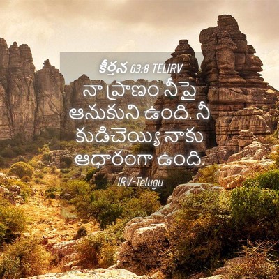 Picture 04 - కీర్తన 63:8 TELIRV - నా ప్రాణం నీపై - Bible Verse Picture