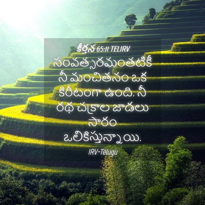 Picture 04 - కీర్తన 65:11 TELIRV - సంవత్సరమంతటికీ నీ - Bible Verse Picture