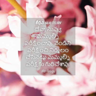 Picture 04 - కీర్తన 66:10 TELIRV - దేవా, నువ్వు - Bible Verse Picture