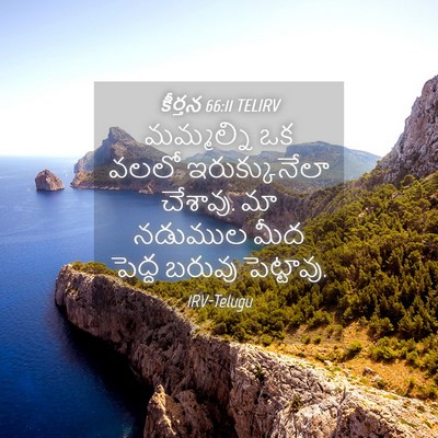 Picture 04 - కీర్తన 66:11 TELIRV - మమ్మల్ని ఒక వలలో - Bible Verse Picture