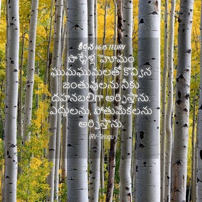 Picture 04 - కీర్తన 66:15 TELIRV - పొట్టేళ్ల హోమం - Bible Verse Picture