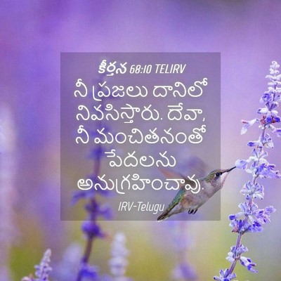 Picture 04 - కీర్తన 68:10 TELIRV - నీ ప్రజలు దానిలో - Bible Verse Picture