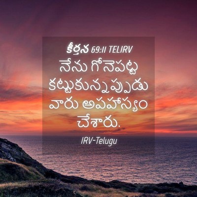 Picture 04 - కీర్తన 69:11 TELIRV - నేను గోనెపట్ట - Bible Verse Picture