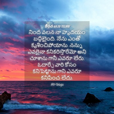 Picture 04 - కీర్తన 69:20 TELIRV - నింద వలన నా హృదయం - Bible Verse Picture