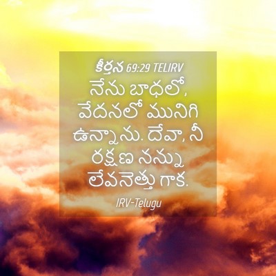 Picture 04 - కీర్తన 69:29 TELIRV - నేను బాధలో, వేదనలో - Bible Verse Picture