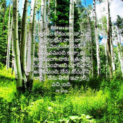 Picture 04 - కీర్తన 69:4 TELIRV - ఏ కారణం లేకుండా నా - Bible Verse Picture
