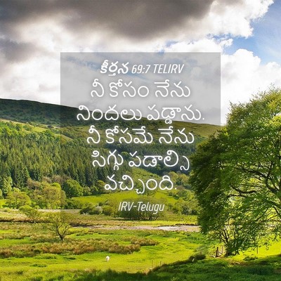Picture 04 - కీర్తన 69:7 TELIRV - నీ కోసం నేను - Bible Verse Picture