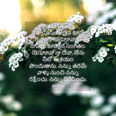 Picture 04 - కీర్తన 7:1 TELIRV - బెన్యామీనీయుడైన - Bible Verse Picture