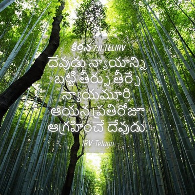Picture 04 - కీర్తన 7:11 TELIRV - దేవుడు న్యాయాన్ని - Bible Verse Picture