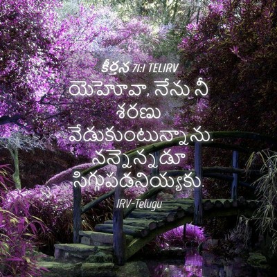 Picture 04 - కీర్తన 71:1 TELIRV - యెహోవా, నేను నీ - Bible Verse Picture