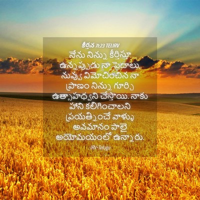 Picture 04 - కీర్తన 71:23 TELIRV - నేను నిన్ను - Bible Verse Picture