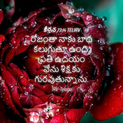 Picture 04 - కీర్తన 73:14 TELIRV - రోజంతా నాకు బాధ - Bible Verse Picture